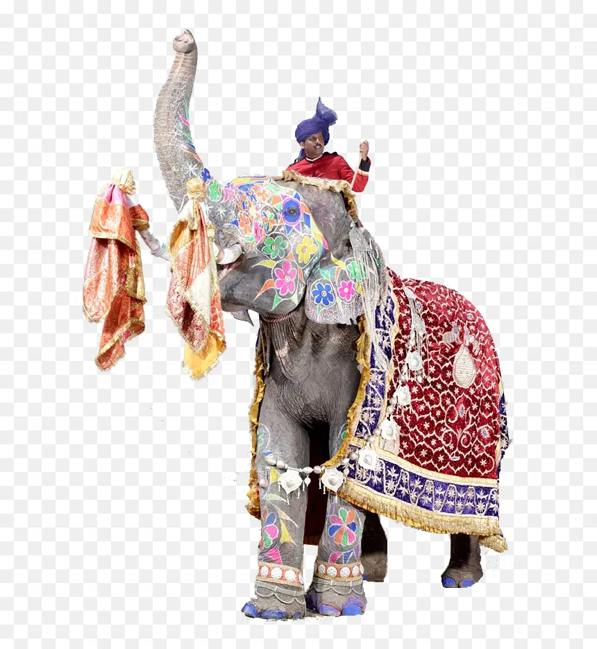 Ajmer Pushkar Tour